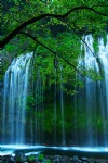 Mossbrae Waterfalls, Sacramento River, Dunsmuir, California, United States