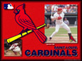 Saint Louis Cardinals