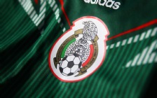 Mexico World Cup 2014 Home Kit, Logo