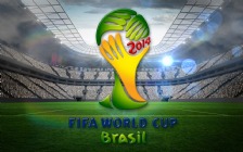 2014 FIFA World Cup in Brazil