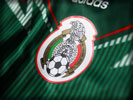 Mexico World Cup 2014 Home Kit, Logo