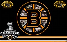 Boston Bruins, 2011 Stanley Cup Champions