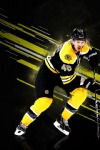David Krejci, Boston Bruins