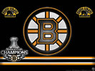 Boston Bruins, 2011 Stanley Cup Champions