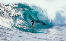 Windsurfing, Waves, Guy