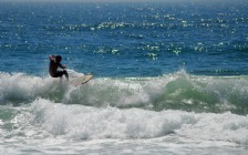 Windsurfing, Waves, Guy