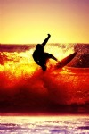 Windsurfing, Waves, Guy, Sunset