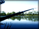 Fishing Rod, Lake